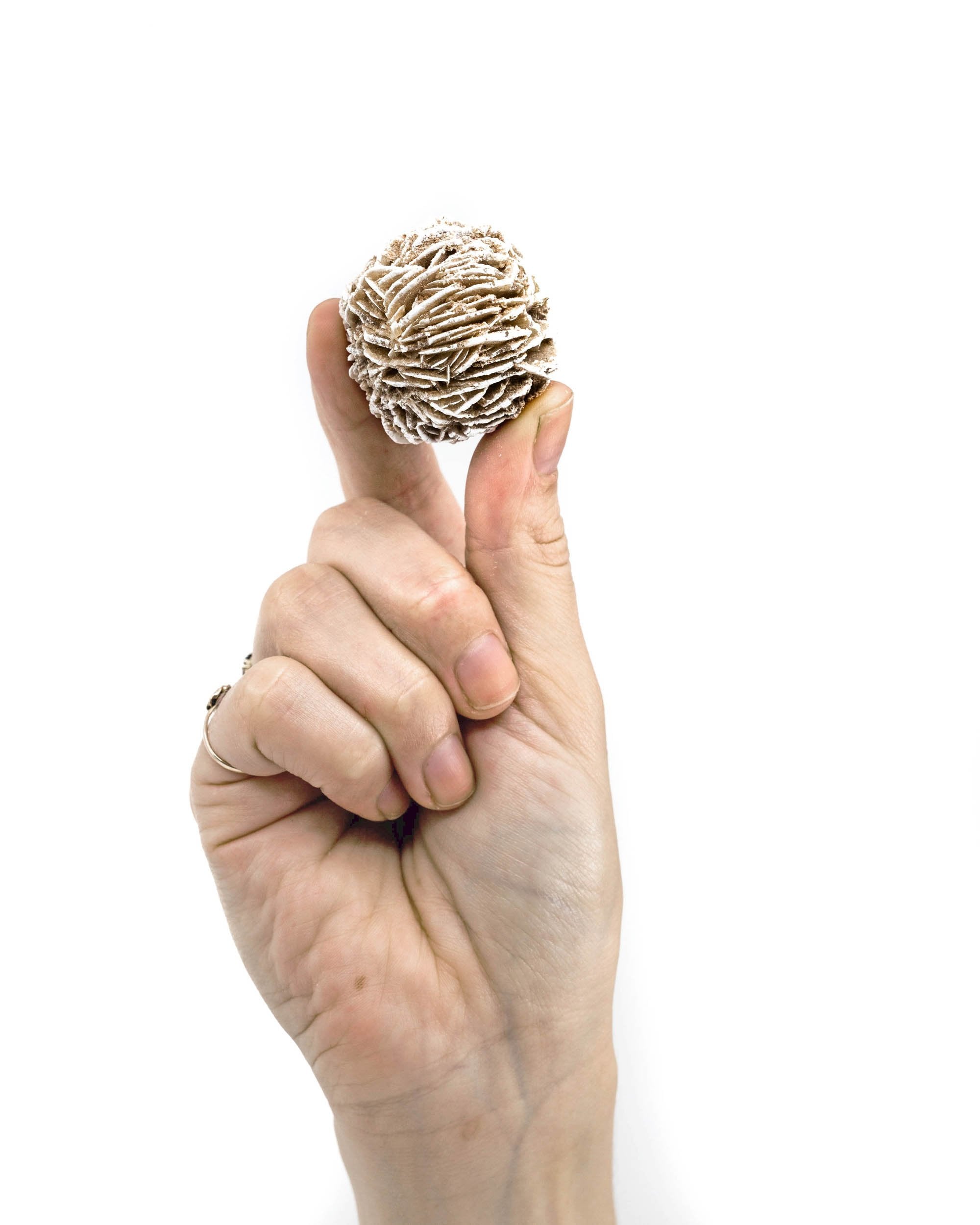 Desert Rose Selenite