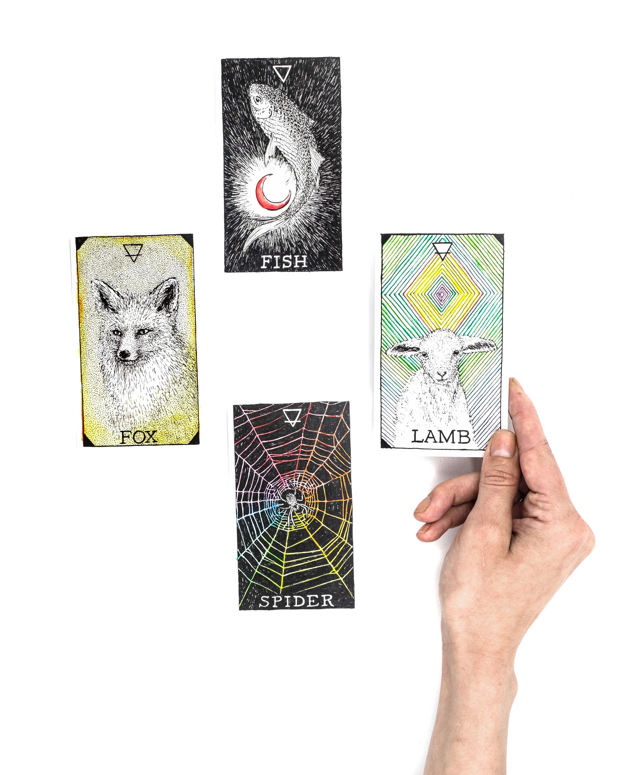 The Wild Unknown Animal Spirit