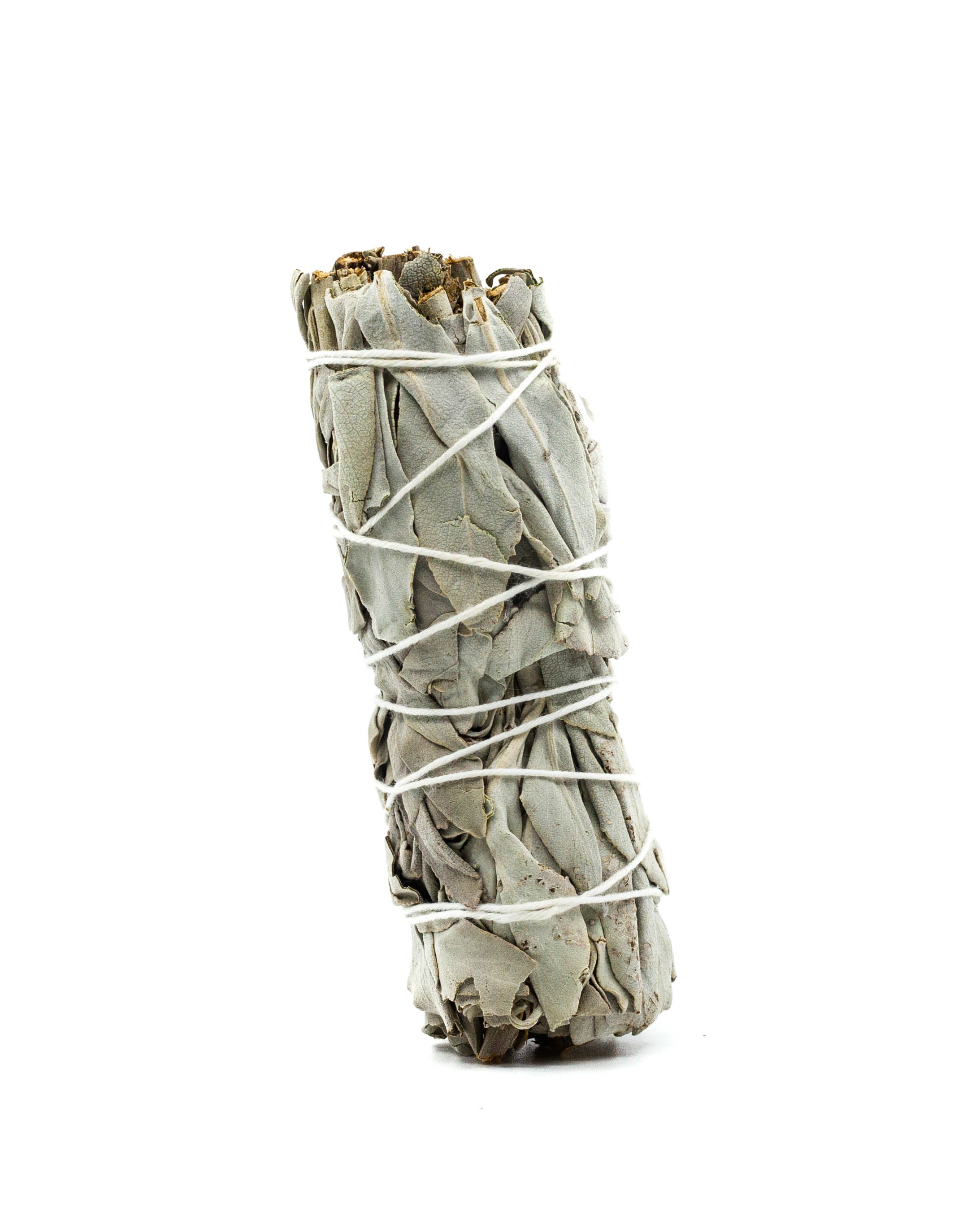 Torch Mini White Sage