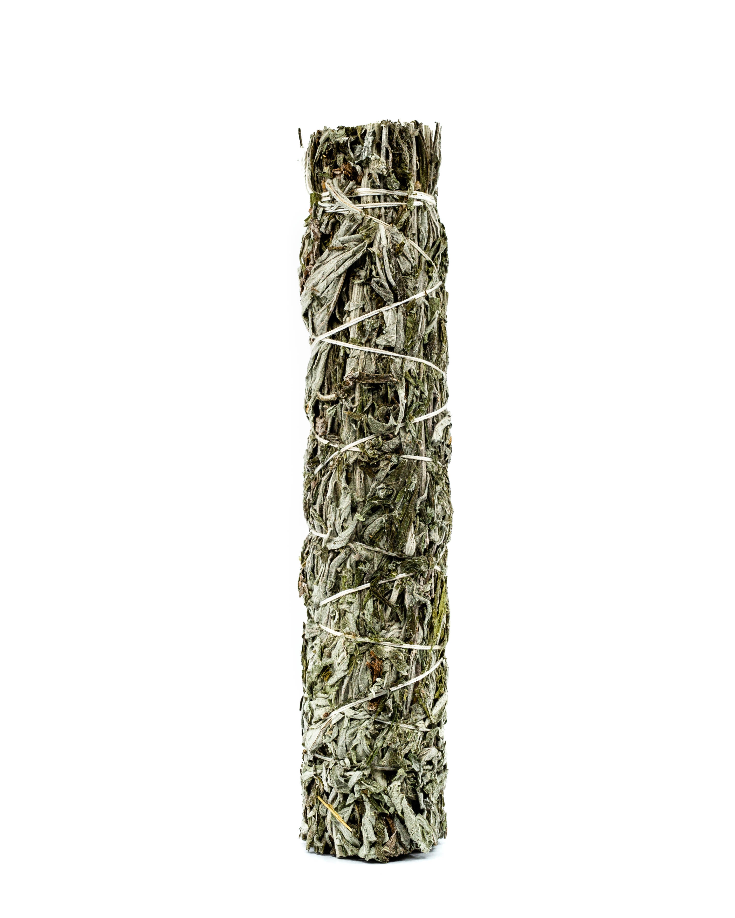 Black Sage/Mugwort