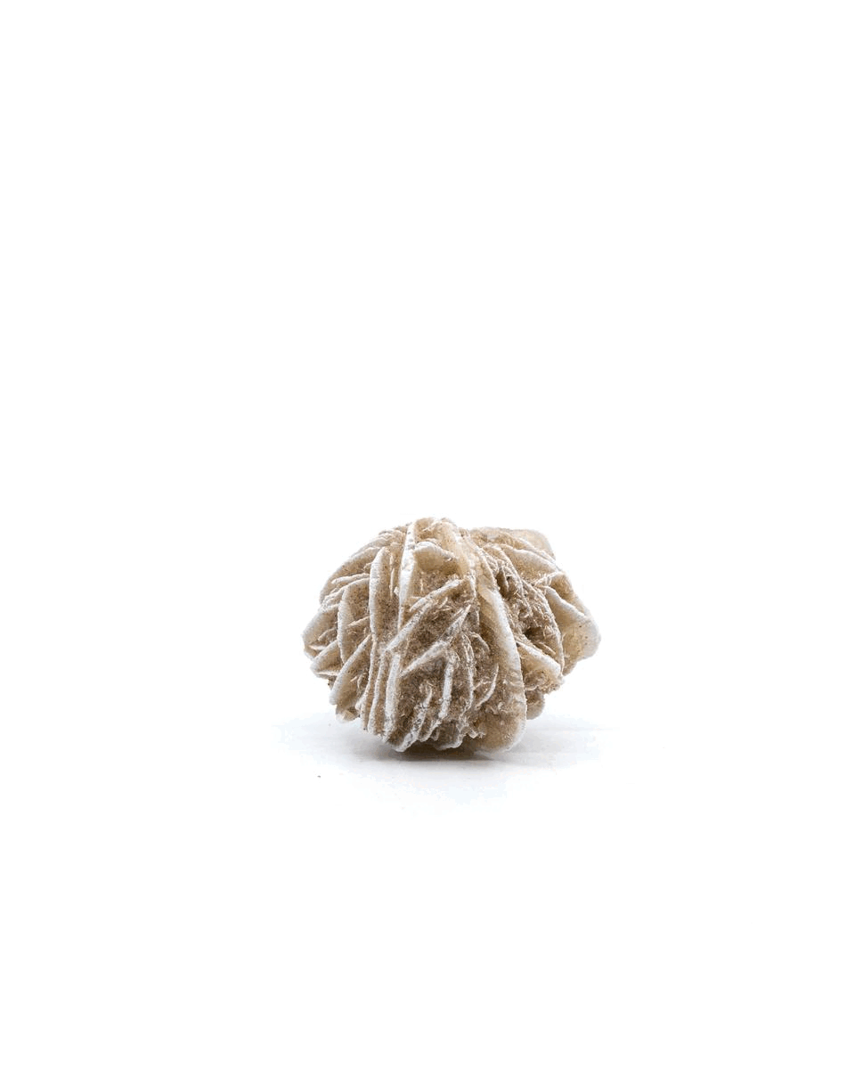 Desert Rose Selenite